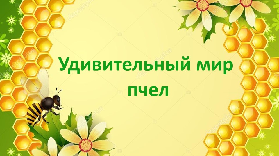 Презентация "Удивительный мир пчёл" - Учебники, Презентации и Подготовка к Экзаменам для Школьников на Klass-Uchebnik.com