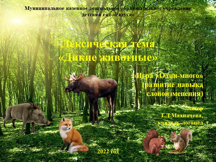 Презентация по лексической теме: "Дикие животные". Игра "Один-много" (закрепление навыка словоизменения) - Учебники, Презентации и Подготовка к Экзаменам для Школьников на Klass-Uchebnik.com