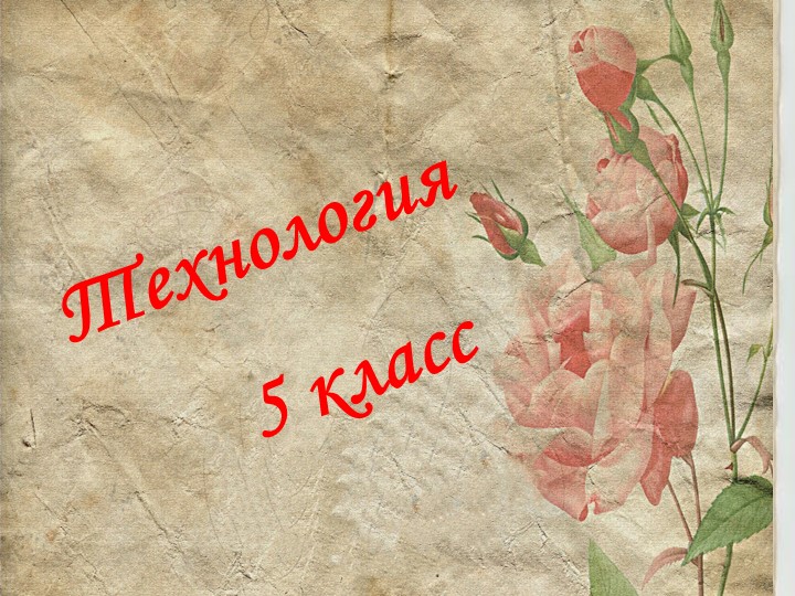 Презентация к уроку в 5 классе "Бумага, ее виды и свойства" - Учебники, Презентации и Подготовка к Экзаменам для Школьников на Klass-Uchebnik.com