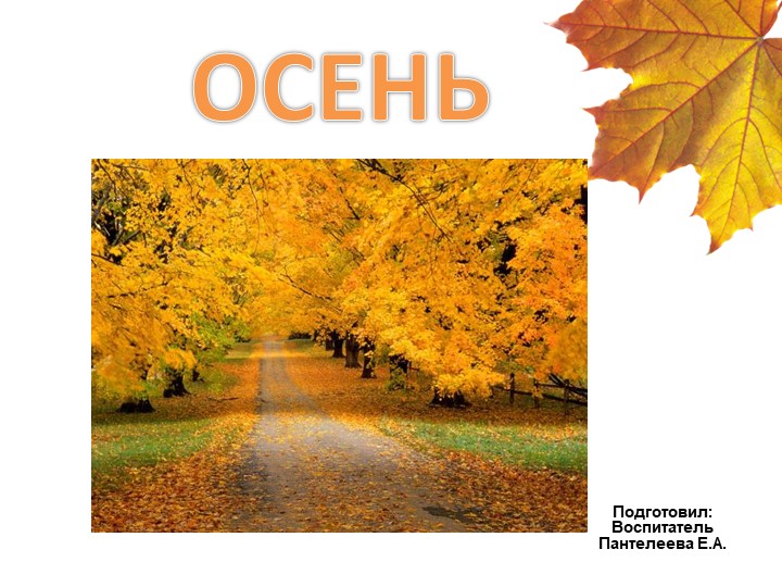 Презентация на тему "ОСЕНЬ ДЛЯ НОД" Учебники, Презентации и Подготовка к Экзаменам для Школьников на Klass-Uchebnik.com