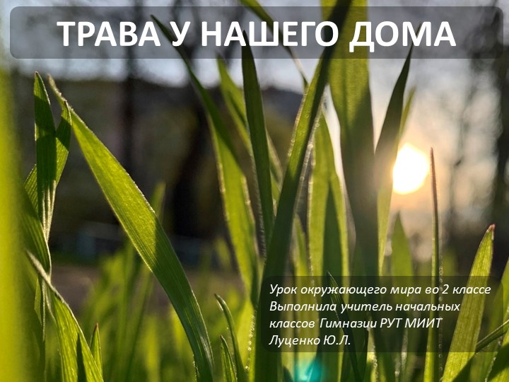Презентация по окружающему миру "Трава у нашего дома" (2 класс) Учебники, Презентации и Подготовка к Экзаменам для Школьников на Klass-Uchebnik.com