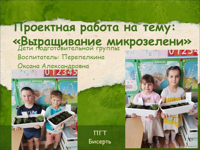 Проект "Микрозелень - витамины в детском саду" - Учебники, Презентации и Подготовка к Экзаменам для Школьников на Klass-Uchebnik.com