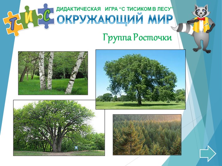 Дидактическая игра "Тисик в лесу" Учебники, Презентации и Подготовка к Экзаменам для Школьников на Klass-Uchebnik.com