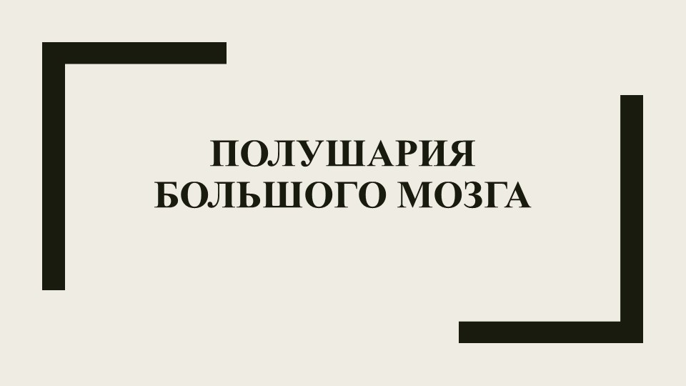 Презентация к уроку "Полушария большого мозга" Учебники, Презентации и Подготовка к Экзаменам для Школьников на Klass-Uchebnik.com