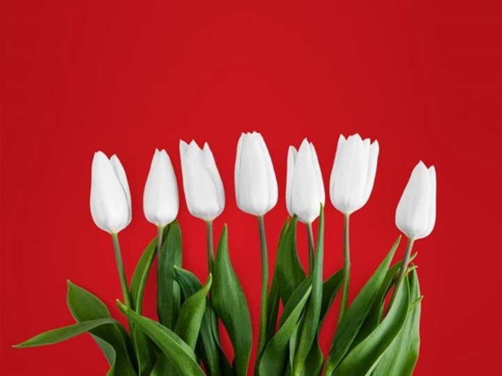 Квиз игра ко дню матери - Учебники, Презентации и Подготовка к Экзаменам для Школьников на Klass-Uchebnik.com