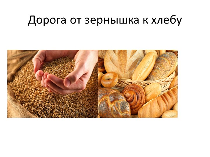 Презентация знакомство с хлебом( " от зернышка до хлеба") - Учебники, Презентации и Подготовка к Экзаменам для Школьников на Klass-Uchebnik.com