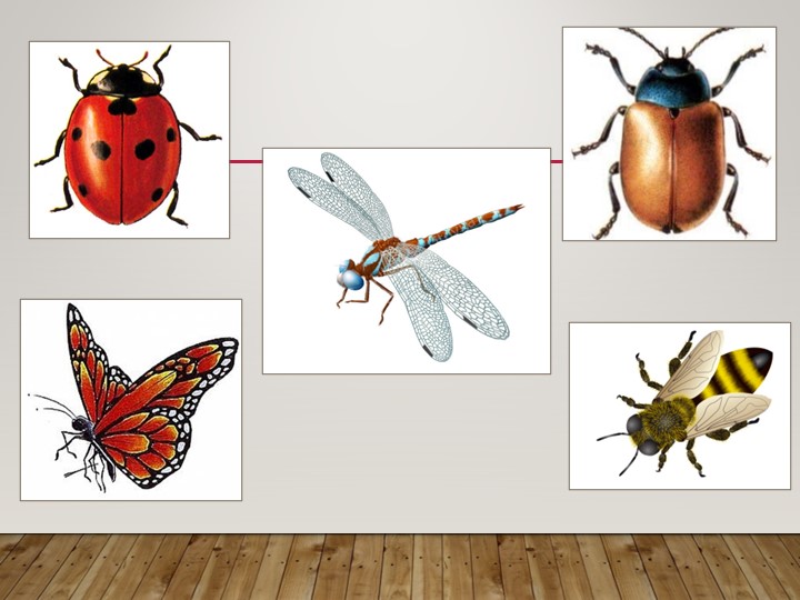 3 класс Размножение и развитие животных - Учебники, Презентации и Подготовка к Экзаменам для Школьников на Klass-Uchebnik.com