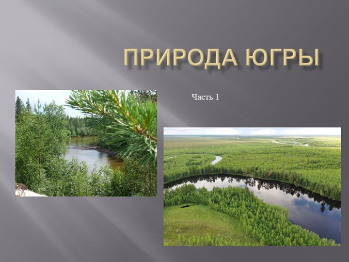Презентация по изобразительному искусству "Природа Югры" - Учебники, Презентации и Подготовка к Экзаменам для Школьников на Klass-Uchebnik.com