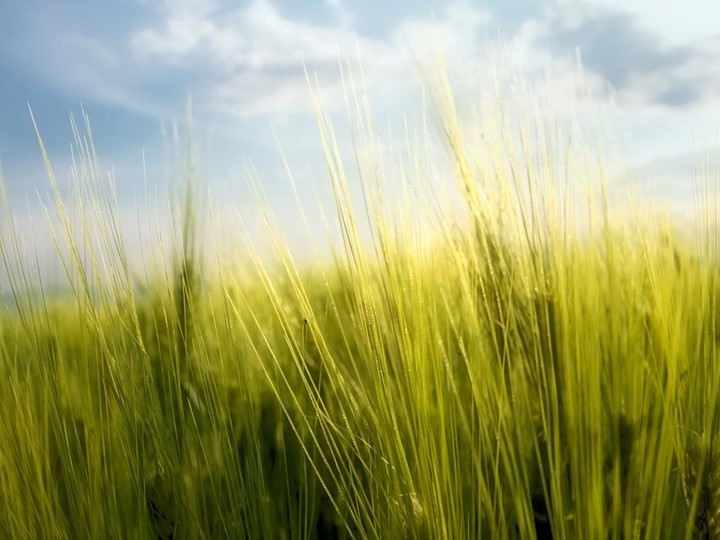 Презентация для урока по физике и электротехнике - Учебники, Презентации и Подготовка к Экзаменам для Школьников на Klass-Uchebnik.com