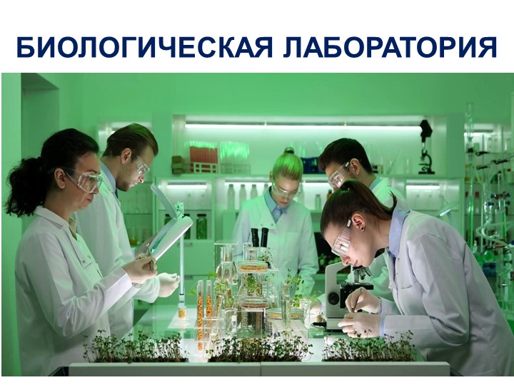 Презентация Лабораторная работа Биологическая лаборатория - Учебники, Презентации и Подготовка к Экзаменам для Школьников на Klass-Uchebnik.com