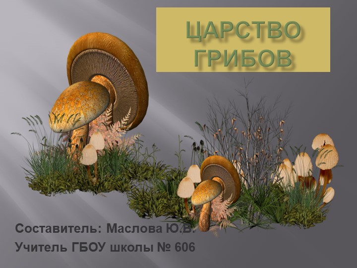 Презентация по окружающему миру на тему "Грибы" - Учебники, Презентации и Подготовка к Экзаменам для Школьников на Klass-Uchebnik.com