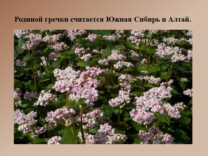 Презентация к празднику урожая - Учебники, Презентации и Подготовка к Экзаменам для Школьников на Klass-Uchebnik.com