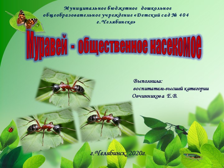 "Муравей - общественное насекомое - Учебники, Презентации и Подготовка к Экзаменам для Школьников на Klass-Uchebnik.com