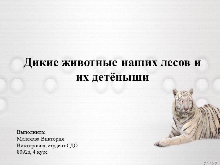 Презентация к лексико-грамматическому занятию для детей ОНР "Дикие животные и их детёныши" - Учебники, Презентации и Подготовка к Экзаменам для Школьников на Klass-Uchebnik.com