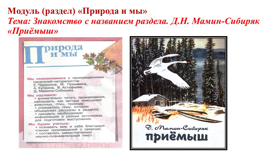 Урок,Презентация на урок литературного чтения по произведению "Приемыш" - Учебники, Презентации и Подготовка к Экзаменам для Школьников на Klass-Uchebnik.com
