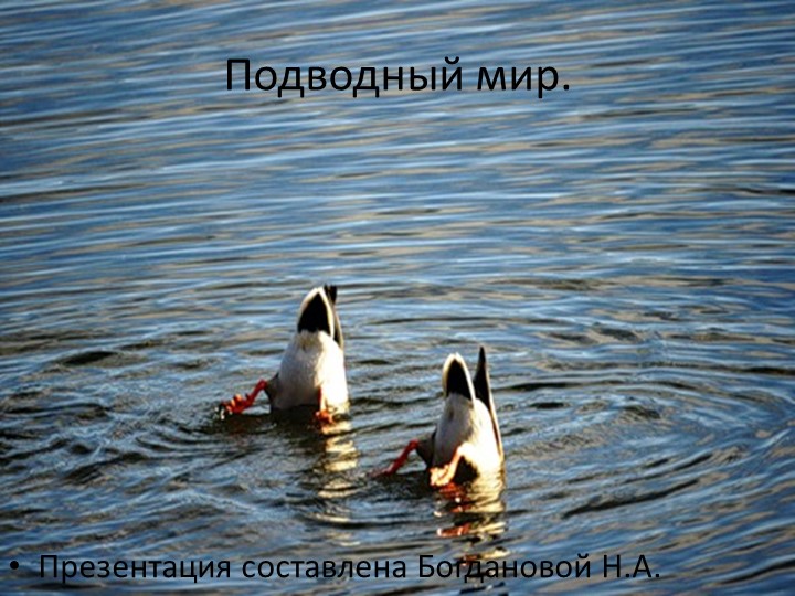 Презентация к уроку географии "Подводный мир" Учебники, Презентации и Подготовка к Экзаменам для Школьников на Klass-Uchebnik.com