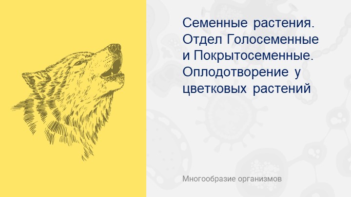 Презентация по биологии на тему "Семенные растения. Покрыто- и Голосеменные" Учебники, Презентации и Подготовка к Экзаменам для Школьников на Klass-Uchebnik.com