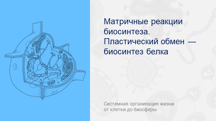 Презентация по биологии на тему "Пластический обмен. Биосинтез белка" - Учебники, Презентации и Подготовка к Экзаменам для Школьников на Klass-Uchebnik.com