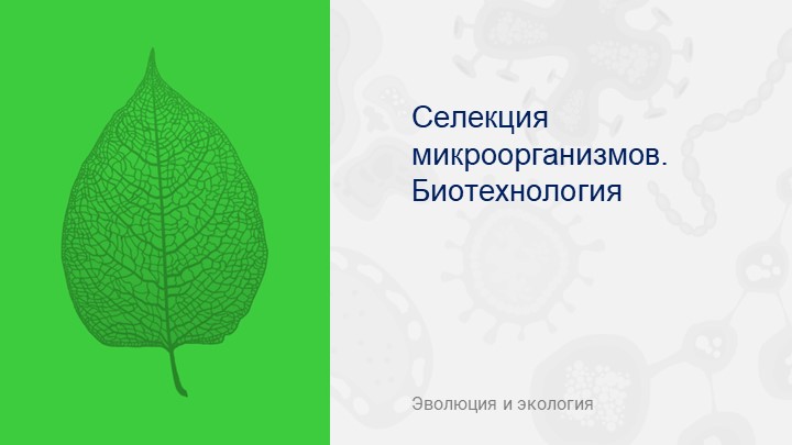 Презентация по биологии на тему "Биотехнологии" Учебники, Презентации и Подготовка к Экзаменам для Школьников на Klass-Uchebnik.com