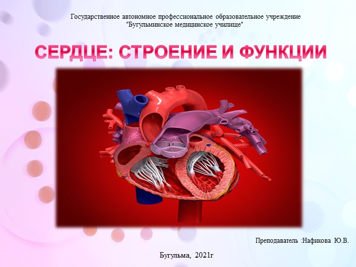 Презентация по анатомии и физиологии человека "Анатомия сердца" - Учебники, Презентации и Подготовка к Экзаменам для Школьников на Klass-Uchebnik.com