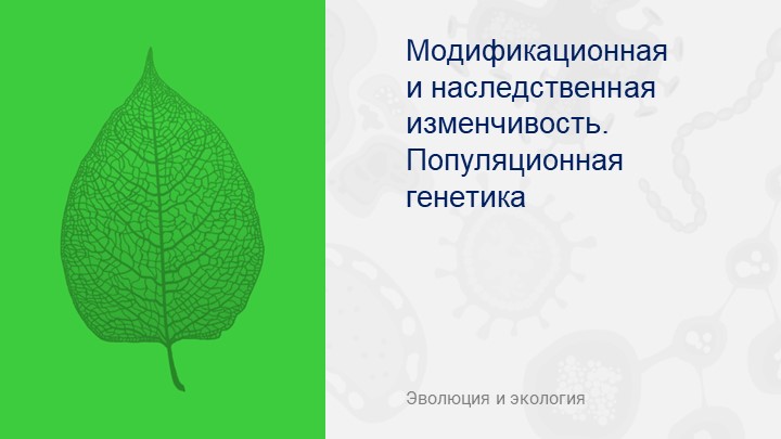 Презентация оп биологии на тему "Модификационная изменчивость" - Учебники, Презентации и Подготовка к Экзаменам для Школьников на Klass-Uchebnik.com