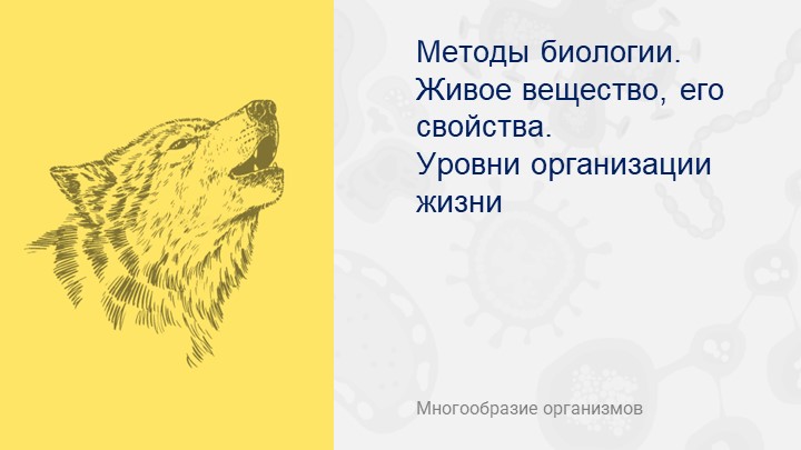 Презентация "Методы биологии и уровни организации жизни" - Учебники, Презентации и Подготовка к Экзаменам для Школьников на Klass-Uchebnik.com