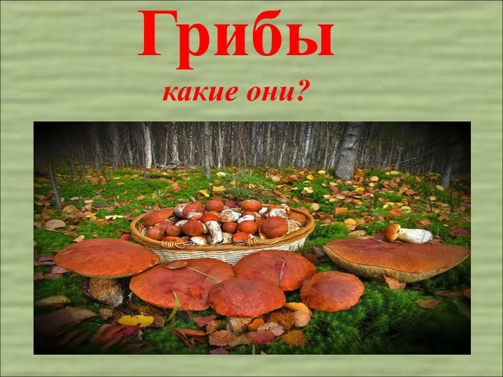 Интерактивная презентация "Грибы" подготовительная группа Учебники, Презентации и Подготовка к Экзаменам для Школьников на Klass-Uchebnik.com