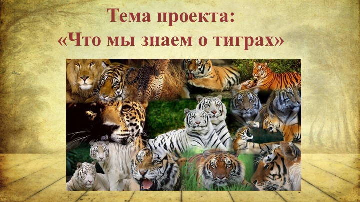 Презентация "Где живут тигры" Учебники, Презентации и Подготовка к Экзаменам для Школьников на Klass-Uchebnik.com
