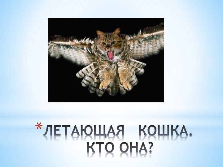 Презентация проекта "Летающая кошка или символ мудрости?" Учебники, Презентации и Подготовка к Экзаменам для Школьников на Klass-Uchebnik.com