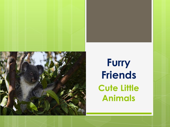 Презентация на тему наши пушистые друзья Учебники, Презентации и Подготовка к Экзаменам для Школьников на Klass-Uchebnik.com