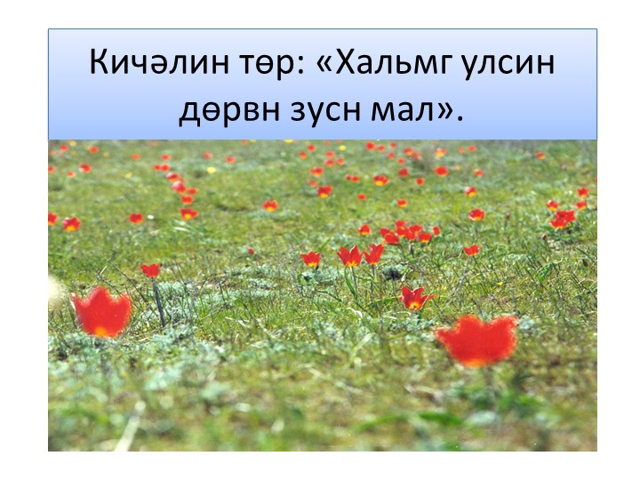 «Хальмг улсин дөрвн зусн мал». Учебники, Презентации и Подготовка к Экзаменам для Школьников на Klass-Uchebnik.com
