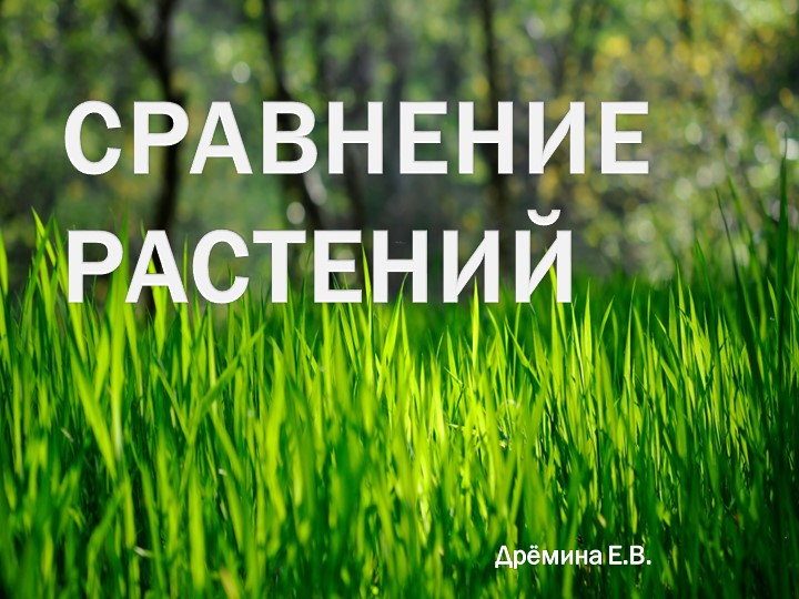 Презентация по мир природы и человека на тему: "Сравнение растений" (3 класс) Учебники, Презентации и Подготовка к Экзаменам для Школьников на Klass-Uchebnik.com