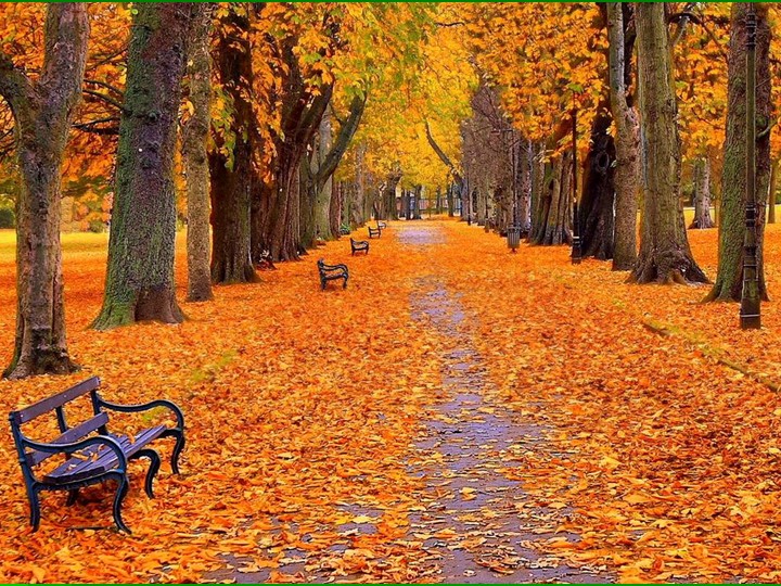 Презентация по биологии на тему "Испарение воды листьями. Листопад" (6 класс) Учебники, Презентации и Подготовка к Экзаменам для Школьников на Klass-Uchebnik.com