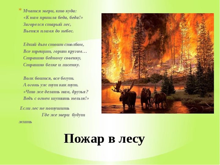 Презентация к уроку по Забайкаловедению на тему "Пожар в лесу" (3 класс) Учебники, Презентации и Подготовка к Экзаменам для Школьников на Klass-Uchebnik.com