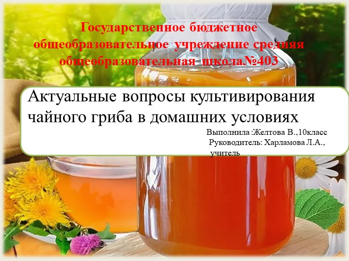 Презентация по биологии на тему "Грибы" Учебники, Презентации и Подготовка к Экзаменам для Школьников на Klass-Uchebnik.com