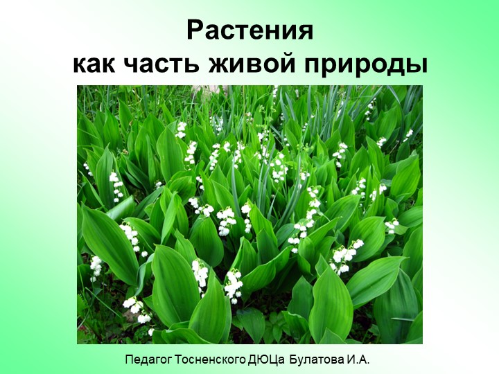 Растения - часть живой природы Учебники, Презентации и Подготовка к Экзаменам для Школьников на Klass-Uchebnik.com