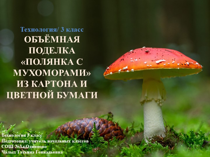 Презентация по технологии на тему: "Объёмная поделка «Полянка с мухоморами» из картона и цветной бумаги (1-4 классы). Учебники, Презентации и Подготовка к Экзаменам для Школьников на Klass-Uchebnik.com