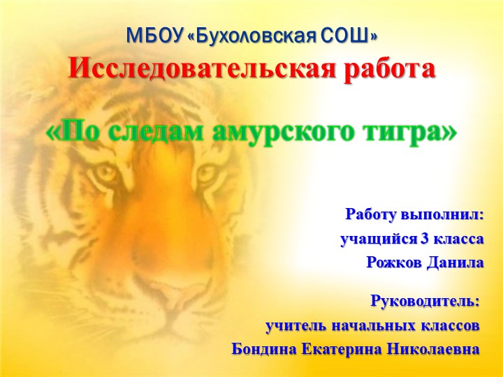 Презентация к исследовательской работе "По следам амурского тигра" Учебники, Презентации и Подготовка к Экзаменам для Школьников на Klass-Uchebnik.com