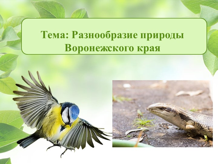 Презентация на тему "Разнообразие природы Воронежского края" Учебники, Презентации и Подготовка к Экзаменам для Школьников на Klass-Uchebnik.com