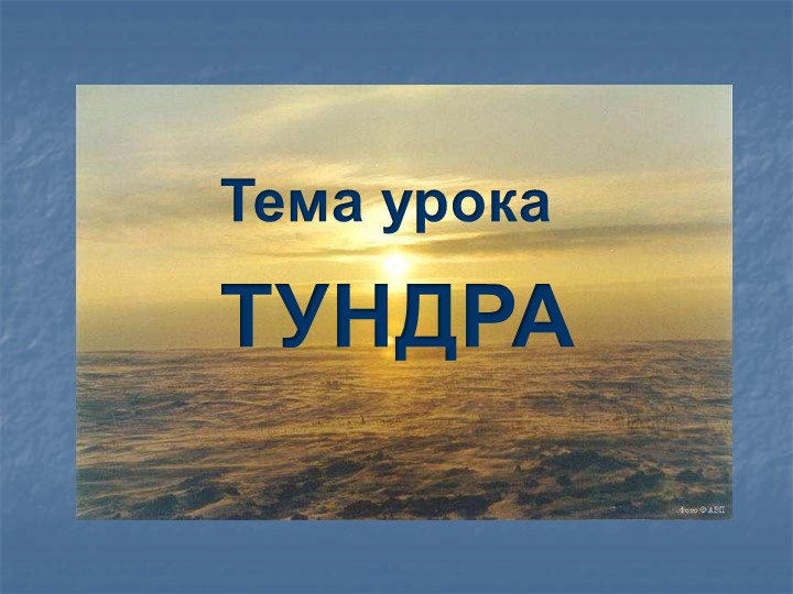 Презентация по окружающему миру на тему "Тундра" Учебники, Презентации и Подготовка к Экзаменам для Школьников на Klass-Uchebnik.com