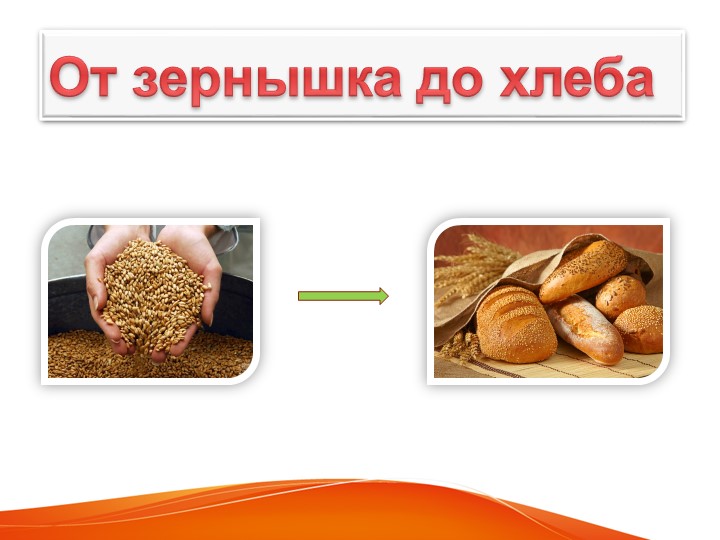 "От зернышка до хлеба" - Учебники, Презентации и Подготовка к Экзаменам для Школьников на Klass-Uchebnik.com