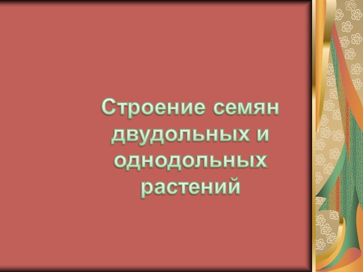 Сравнение строения сесмени однодольных и двудольных растений Учебники, Презентации и Подготовка к Экзаменам для Школьников на Klass-Uchebnik.com