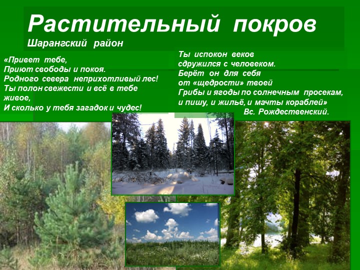 Растительность Шарагского района Нижегородской области Учебники, Презентации и Подготовка к Экзаменам для Школьников на Klass-Uchebnik.com