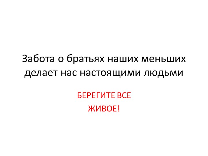 Презентация "Забота о братьях наших меньших." Учебники, Презентации и Подготовка к Экзаменам для Школьников на Klass-Uchebnik.com