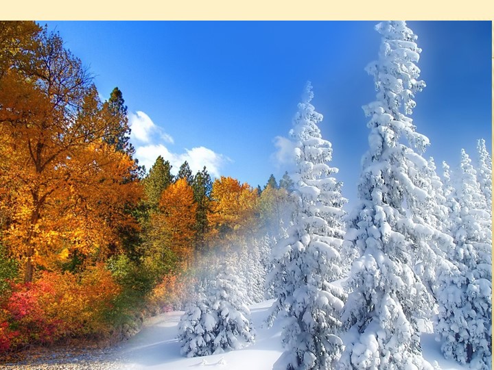 Презентация к уроку немецкого языка в 6 классе "Рождество" Учебники, Презентации и Подготовка к Экзаменам для Школьников на Klass-Uchebnik.com