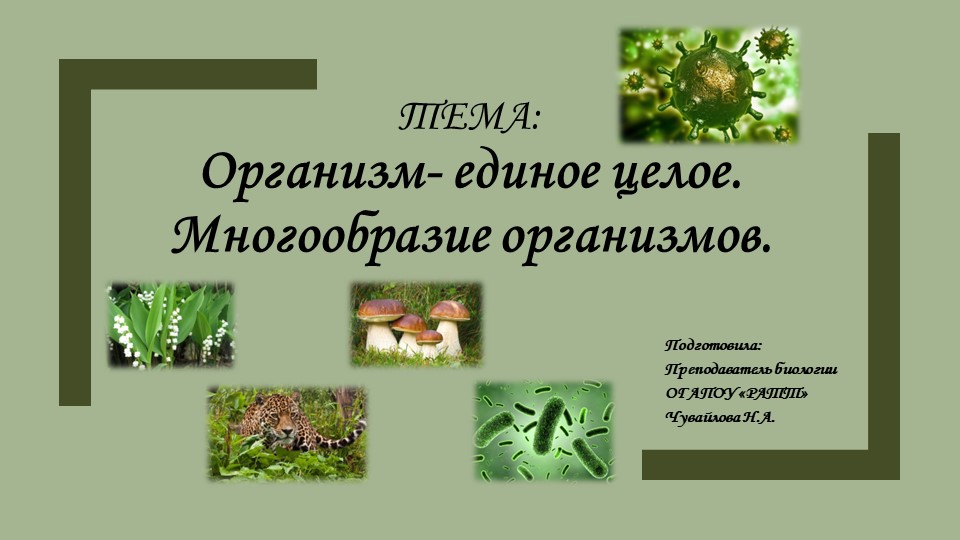 Презентация по биологии "Организм-единое целое. Многообразие организмов" Учебники, Презентации и Подготовка к Экзаменам для Школьников на Klass-Uchebnik.com