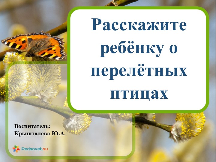 Презентация "Знакомство дошкольников с перелетными птицами" Учебники, Презентации и Подготовка к Экзаменам для Школьников на Klass-Uchebnik.com