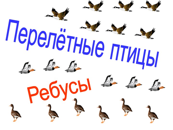 Ребусы на тему "Перелетные птицы" Учебники, Презентации и Подготовка к Экзаменам для Школьников на Klass-Uchebnik.com