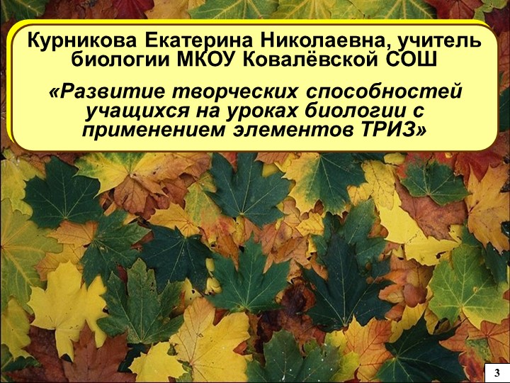 Презентация мастер-класса Теория РИЗ Учебники, Презентации и Подготовка к Экзаменам для Школьников на Klass-Uchebnik.com