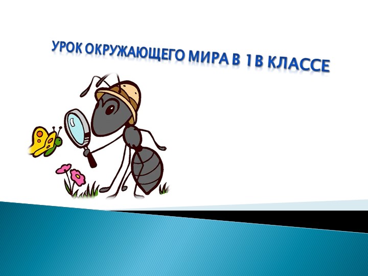 Презентация по окружающему миру "Все профессии важны" (1 класс) Учебники, Презентации и Подготовка к Экзаменам для Школьников на Klass-Uchebnik.com